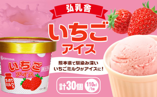 いちごアイス 110ml×30個 合計約3.3L《90日以内に出荷予定(土日