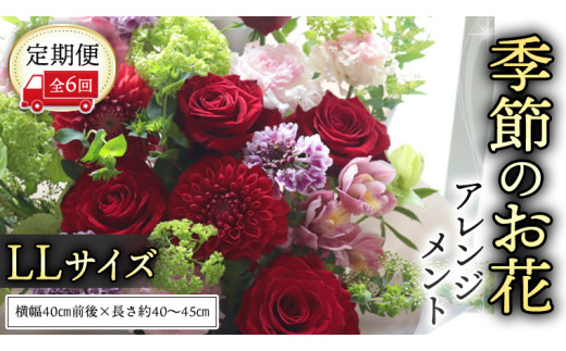 y錧}szy  6 zG߂   AWg LL Mtg v[g  j  LO t[  [CT143ci]