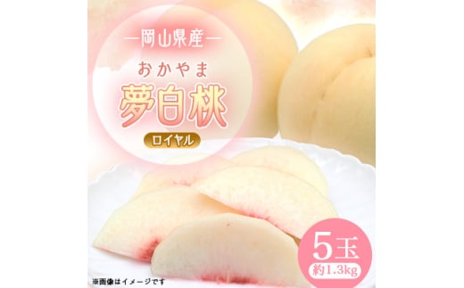 yRsz2026Ns\@RYܖ5ʁCy1601409z