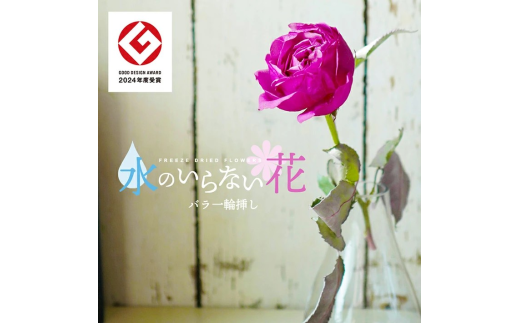 バラ 一輪挿し ドライフラワー 花瓶付き フリーズドライ 薔薇 ばら 花