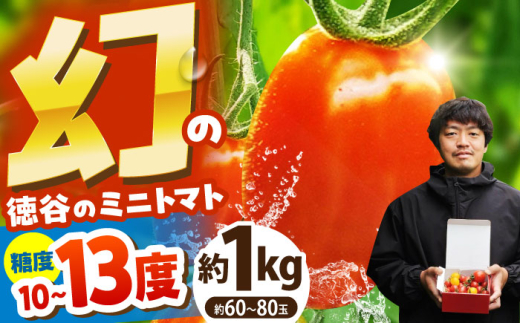 徳谷はじまりトマトのミニトマト 約1kg ミックス〈2026年5月末まで発送