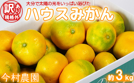 訳あり・規格外品】今村農園のハウスみかん 約3kg みかん 柑橘 3kg