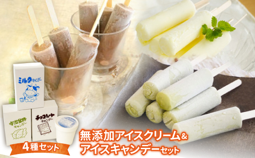 乳液・ミルク Okawa 無添加アイスクリーム&アイスキャンデーセット【1272392】 - 大阪府