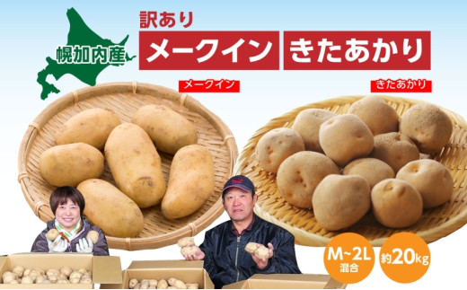 ykCyz[5795-0184]kCY 󂠂 Ⴊ [NC  M`2L e10kg v20kg WKC n鏒 |eg   C { ~ _앨 KiO kC  Yn