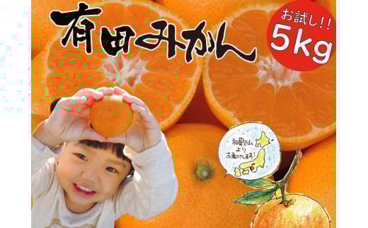 ya̎RLc쒬zmst2025N11`nNEW ͂߂܂ Lc݂   5kg a̎RY / ORYY