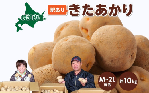 ykCyz[5795-0373]kCY 󂠂 Ⴊ  M`2L 10kg WKC n鏒 |eg L^AJ   C { ~ _앨 A KiO ƒp kC 