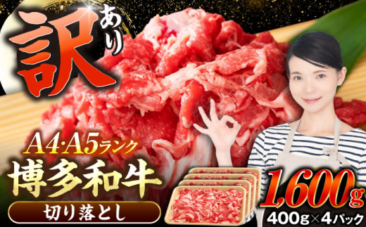 yLOszy󂠂zyA4?A5Nza  ؂藎Ƃ1.6kgi400g×Sj sLOstyЖؑHiz Y J[ Ⴊ [VDZ025]