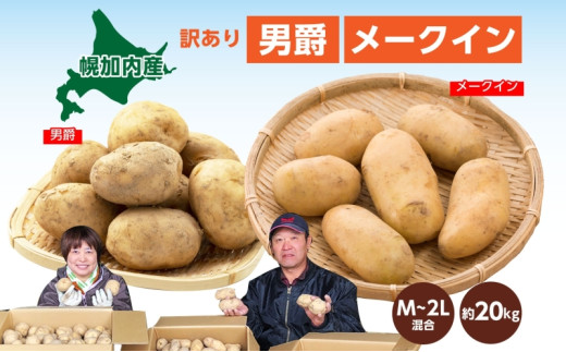 ykCyz[5795-0185]kCY 󂠂 Ⴊ j [NC M`2L e10kg v20kg WKC n鏒 |eg   C { ~ _앨 KiO kC  Yn }