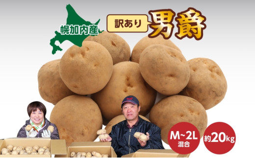 ykCyz[5795-0180]kCY 󂠂 Ⴊ j M`2L 20kg WKC n鏒 |eg L^AJ   C { ~ _앨 A KiO ƒp kC  Yn