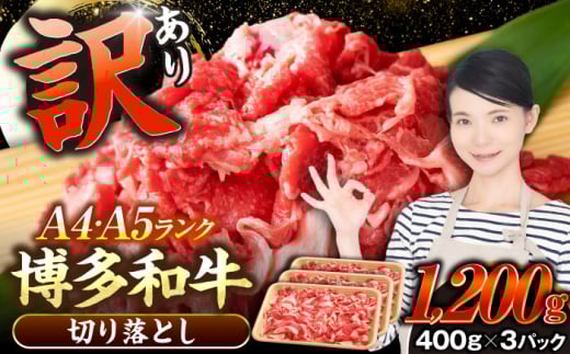 yLOszy󂠂zyA4?A5Nza  ؂藎Ƃ 1.2kgi400g×Rj sLOstyЖؑHiz Y J[ Ⴊ [VDZ022]