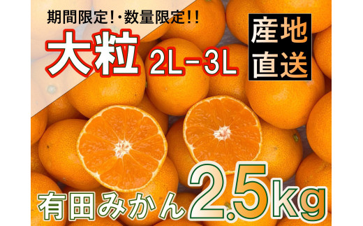 和歌山県産 有田みかん 大粒サイズ 2.5kg - 和歌山県有田川町