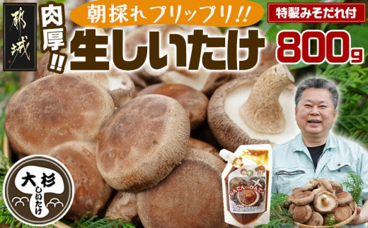 都城産朝採れ肉厚生しいたけ_AA-8701_(都城市) 特製みそだれ付き 朝