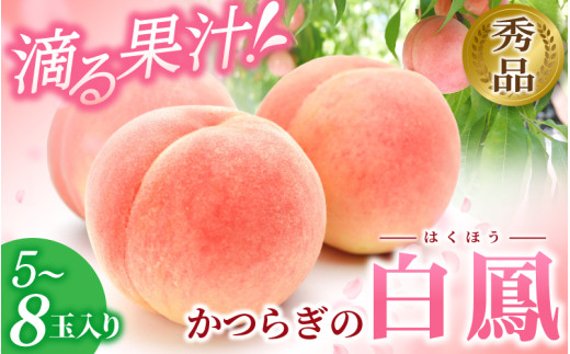 和歌山県産 白鳳 桃 5～8玉入り 秀品 先行予約【2025年6月下旬