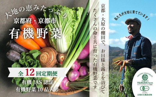 有機野菜! ◇全12回定期便◇【つくだ農園】《有機JAS認証 有機野菜10品入り》京都