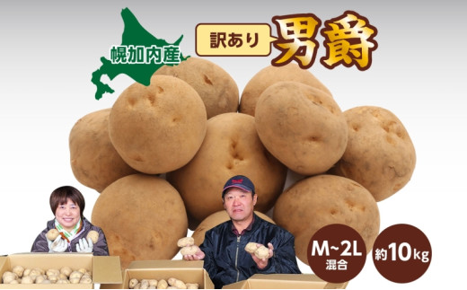 №5795-0371]北海道産 訳あり じゃがいも 男爵 M～2L 約10kg