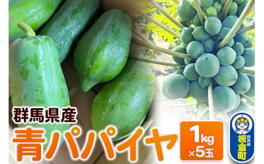 yQnqzyԌzppC 5kgZbgi1kg×5ʁjQnY Y t[c ʕ 썑 gsJ