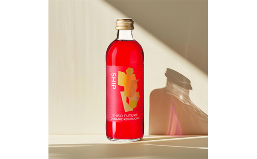 yʌszQSHIP KOMBUCHA SHISO FUTURE V\t[`[ (300ml×12{)_SHIP KOMBUCHA SHISO FUTURE V\t[`[ (300ml×12{)y1148440z