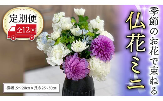 y錧}szցG߂̂Ԃő˂镧ԃ~j12 ԑ    [CT024ci]