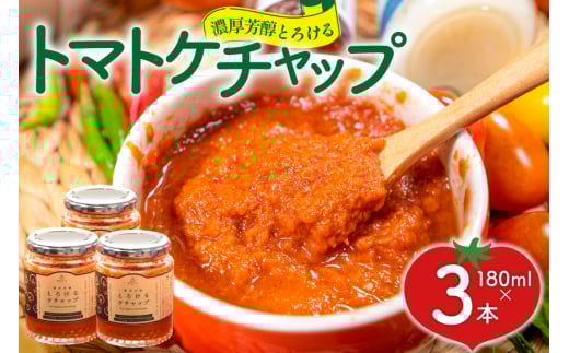 yRszZFƂ낯g}gP`bv 3{ (180g×3) [_t@[ R s 21471032] g}g Ƃ܂ P`v  tomato