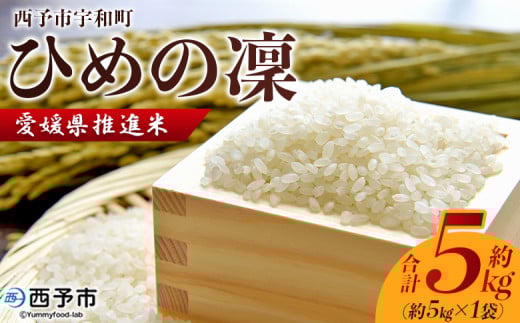 yQ\szQi Ђ߂ 5kg 5kg  R     CX  Ђ߂̂ qm qm uh 嗱 cc Yi QY \sY Fa