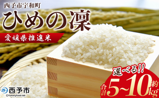 令和7年産 愛媛県推進米 ひめの凜 約5kg/10kg 5kg 10kg お米 コメ こめ