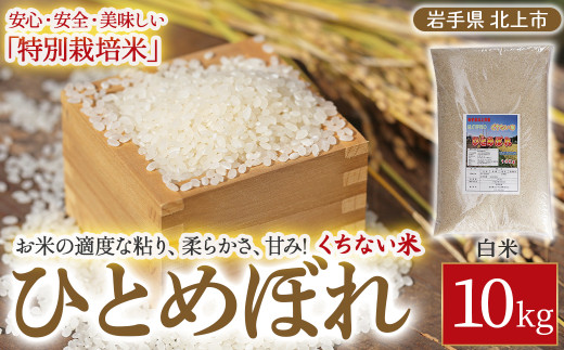 令和7年産 】くちない米（特別栽培米 ひとめぼれ 白米）10kg お米 岩手