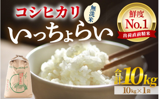 新米 コシヒカリ 1等米 20kg 令和6年 静岡県産 精米（新米