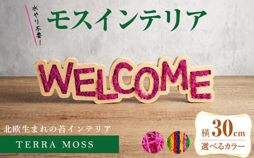 y{錧ēczyJ[IׂzXCeAuWELCOMEv300mmE80mmE15mm ϗtA   RP eX CeA A yсz sh027