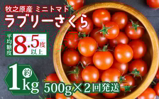 yÉqVsz~j g}g t[c g}g u[ ܂ \ t 500g × 2񔭑 v 1kg Y  t[c Â g}g ݂ɂƂ܂ Â  VN  n T_ pX^