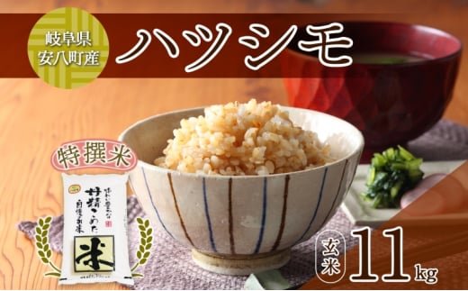 y򕌌z[5331-0276]s\R7NY I ncV  11kg ×1   ͂ V  ͂ ߘa7NY uh _  Yn N[t@[܂