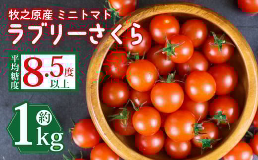 yÉqVszys\z~j g}g t[c g}g u[Ƃ܂ g}g ݂ɂƂ܂  Â  VN  n T_ pX^ g}g\[X g}gX[v g}gW[X