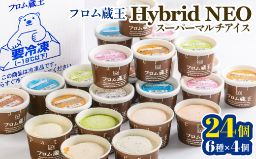 フロム蔵王 Hybrid NEO スーパーマルチアイスBOX 24個 6種 各4個 フロム蔵王 Hybrid NEO スーパーマルチアイスBOX 24個 6種 各4個