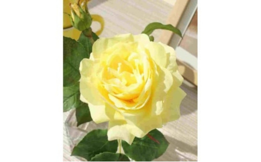 エミリオ・ロバ　プリマローズ　造花 プリマローズpk-L | 商品詳細 | 高島屋オンラインストア