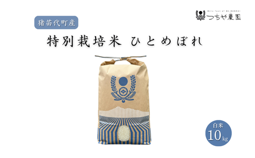 【福島県猪苗代町】【令和7年度産 新米】 つちや農園 猪苗代町産 特別栽培米ひとめぼれ 10kg(精米)| お米 米 ひとめぼれ ※2025年11月上旬頃より順次発送予定