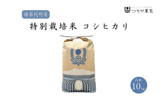 【福島県猪苗代町】【令和7年度産 新米】 つちや農園 猪苗代町産 特別栽培米コシヒカリ 10kg(精米)| お米 米 こしひかり ※2025年11月上旬頃より順次発送予定