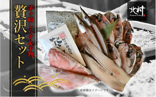 y_ސ쌧sz 炷  ґ Zbg 炷 600g ݂炷 8 1 ܂ 2  3 TP 4  1 ԋ  2 Ԍ VN D C CN  Ⓚ kY Ă