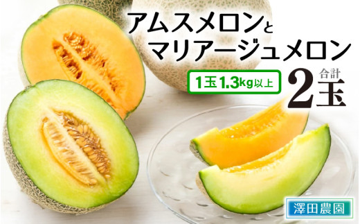 先行予約】アムス・マリアージュメロン 2種（1.3kg以上2玉入）農園1番