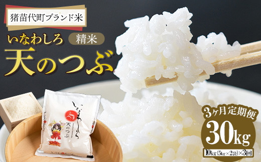 yc㒬z y3Azߘa7NY c㒬uh Ȃ킵V̂ 10kg V b      嗱 i aH