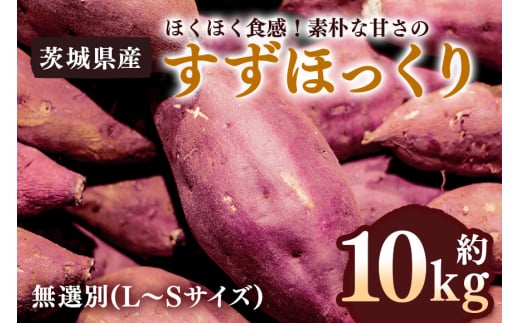 y錧sz܂ ق 10kg I (L`STCY) 錧Y zNzN H Ă VՂ w Ƃ G R̊Â  Tc}C 錧 s (A52-002)