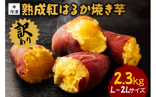 y錧sz󂠂 ng͂邩 ⓀĂ 2.3kg L`2LTCY  錧Y ܂ ZȊÂ ԊOĂグ V[xbg ĂX[W[ Ăe XC[c w