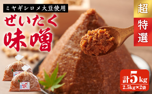 y{錧ēczēcY X I v5kgi2.5kg×2܁j X` X X` VR  y ݂ ЂƂ߂ڂ yt@[zsh044-B