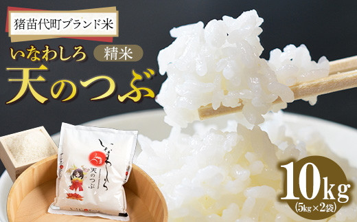 yc㒬zߘa7NY c㒬uh Ȃ킵V̂(  ) 10kg V b    嗱 i aH