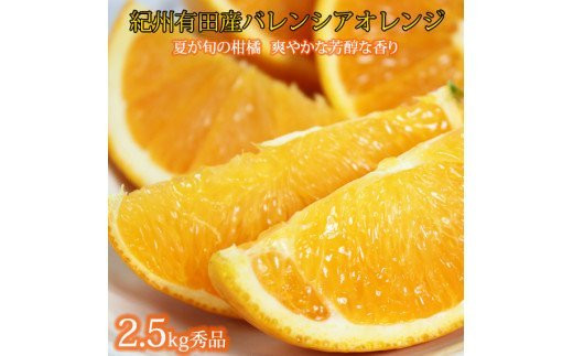 ya̎RRǒzGi 󏭂ȍYoVAIW 2.5kgy2026N6{`2026N7{ɏzyUT75zyuot809z
