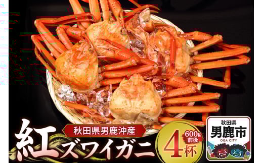 yHcjszjYgYCKj 600g O×4t jȂ I Jj Y Hc 킢I 킢Kj