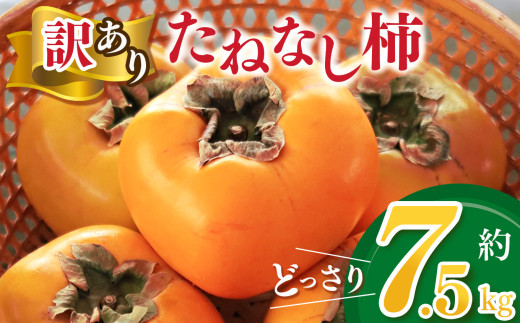 yޗǌܞszyƒpzǂ 킯 ˂Ȃ` 7.5kg | t[c  ʕ `  JL  ޗǌ ܞs   킯 󂠂 ƒp p ǂ Ղ Ȃ