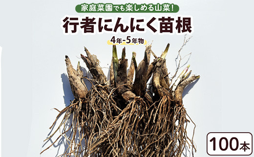 行者にんにく 苗根 100本（4年～5年物） ｜ にんにく ニンニク
