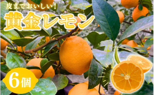 レモン ヨドバシ.com - アサヒ飲料 ほっとレモン（希釈用
