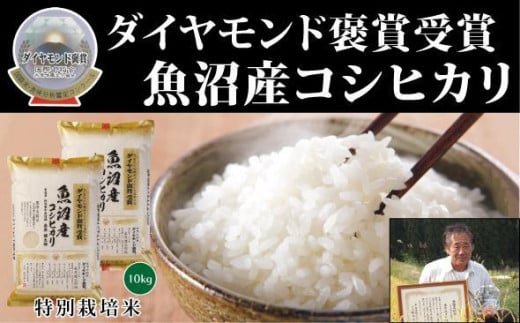 米 10kg ( 5kg × 2袋 ) 令和7年産 最高級 魚沼産 コシヒカリ 特別栽培