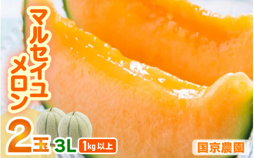 先行予約】マルセイユメロン 2玉入 3L(1kg以上×2玉)高糖度で 先行予約】マルセイユメロン 2玉入 3L(1kg以上×2玉)高糖度で