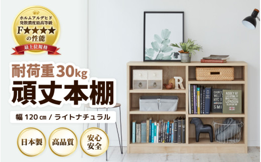 なゆ、本棚① 1cmピッチ薄型壁面書棚 奥行28cm 幅82cm 高さ180cm オープン 通販